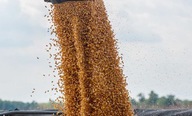 Informe del USDA: cómo impactan en soja, trigo y maíz los datos de abril
