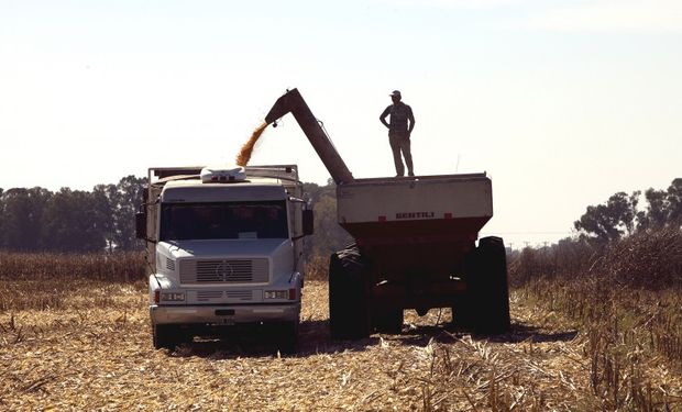 Cómo impacta en la cadena de pagos del agro la paralización de los puertos