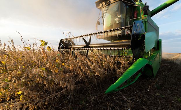 Cómo impactó el USDA sobre el mercado de granos de Chicago y Rosario