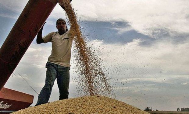 "Sería beneficioso": para evitar un mayor impacto en el mercado, respaldan la propuesta que realizaron acreedores de Vicentin