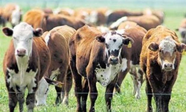 Una situación que se torna insostenible.