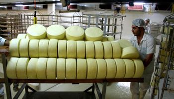 Uruguay mira hacia Japón para colocar productos lácteos