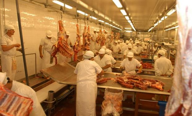 Producción mundial de carne bovina crecerá 1,3% en 2016.