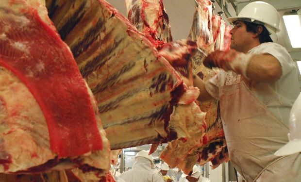 Aseguran que China rechazó aquella compra debido a que un producto graso de mesentérica intestinal había llegado en malas condiciones y generó alarma.