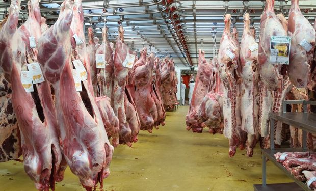 El USDA precisó que Paraguay incrementará 13% su volumen de exportación de carne en 2015 y llegará a 440.000 toneladas.