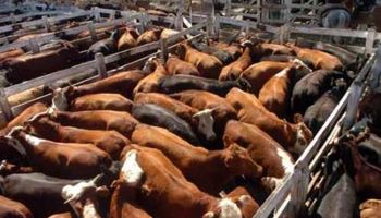 Beneficios sólo por lotes de calidad
