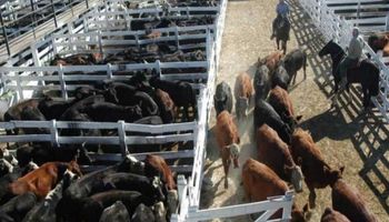 Ofertas reducidas en los mercados ganaderos