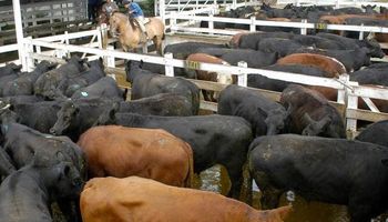 La exportación consolida los precios de la hacienda