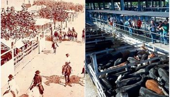 Peleas y chistes en Liniers: la cultura detrás del histórico mercado que hoy cierra sus puertas