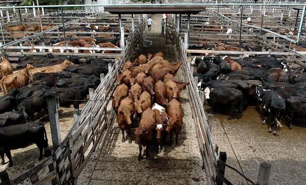 Conflicto gremial en el mercado de Liniers: "Lamentablemente llegamos a esto"