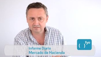 Mercado de Liniers operó con remates especiales