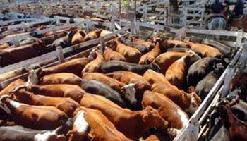 Semana selectiva e inestable