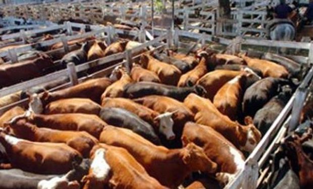 Semana selectiva e inestable