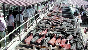 Mercados de hacienda: demanda suficientemente abastecida