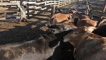 Cierre de semana mixto en los mercados de hacienda