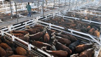 Hacienda: cierra una semana con pobres ingresos