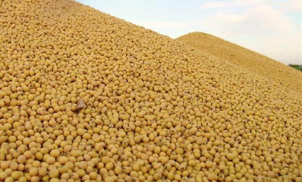 Producción de soja en el Mercosur fue de 170 millones de toneladas.
