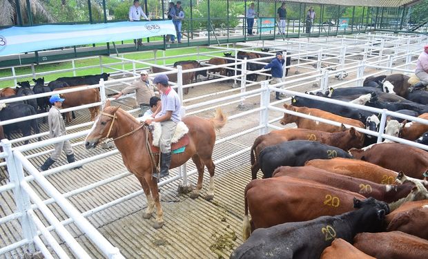 Los precios corrientes cerraron por debajo de los pagados en los últimas ruedas de operaciones