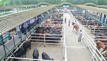 Subas para la hacienda de calidad