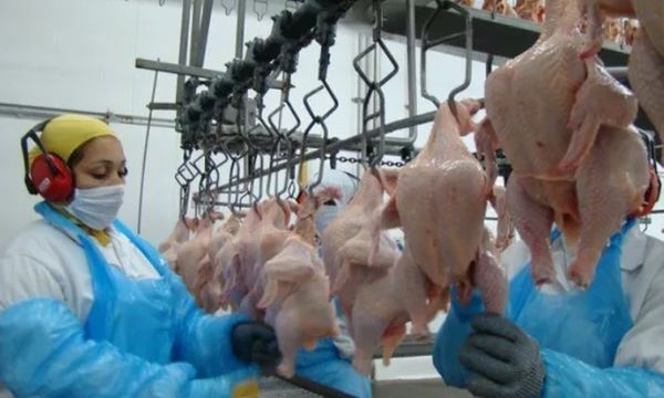 frango_halal