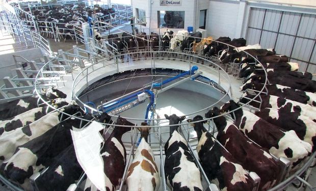 Mientras la producción de leche en Argentina se estancó, en Brasil creció de una manera descomunal en los últimos años.