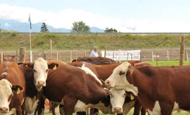 “Es una maravilla ver que cada vez hay más interés en el manejo de la hacienda sin estrés”, manifestó Temple Grandin.