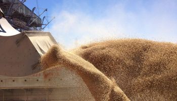 ¿Qué lugar ocupa Argentina en el mercado mundial de granos?