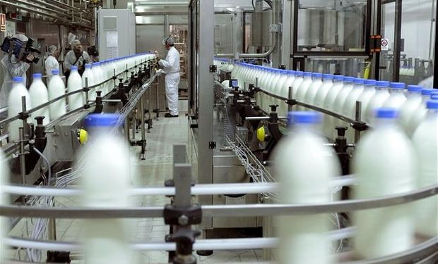 Mercado mundial de lácteos: Argentina pierde participación