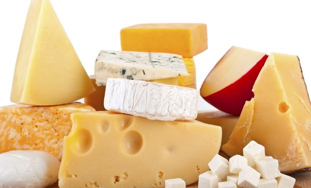 Se estima que el mercado mundial de queso aumente de US $ 79,57 mil millones en 2012 a US $ 105,13 BN en 2019.