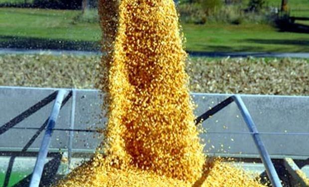 Precio de soja, trigo y maíz: los factores que definen la tendencia y una recomendación de comercialización