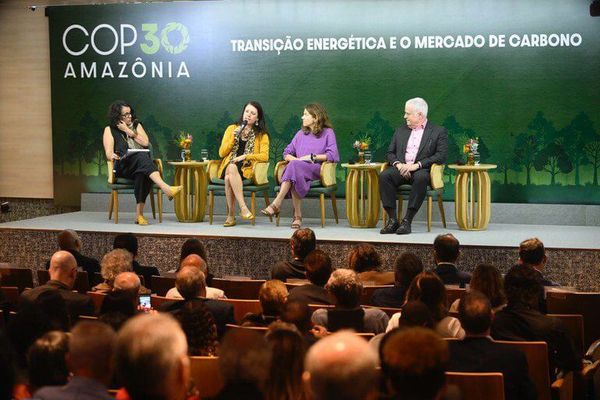 mercadodecarbono