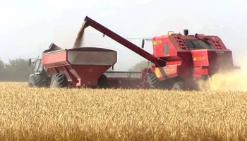 Matba y Rofex interconectan sus plataformas