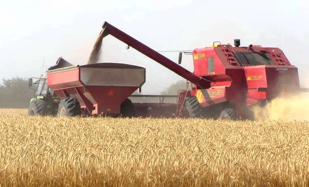 Buscan agilizar las operaciones en el mercado de granos.
