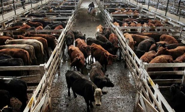 Los conjuntos de menor clase se vendieron dentro de un clima selectivo.