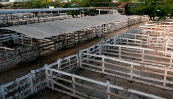 Exportaciones de carne: comenzó el paro agropecuario en rechazo a la medida del Gobierno