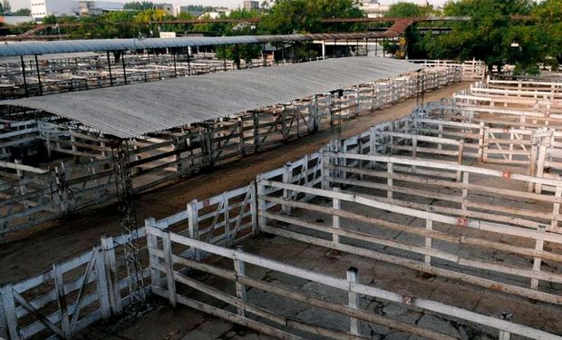 Exportaciones de carne: comenzó el paro agropecuario en rechazo a la medida del Gobierno