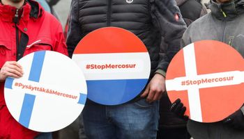 Freno al acuerdo Mercosur-Unión Europea: legisladores de la UE votaron para presentar un recurso legal y podría demorarse dos años más