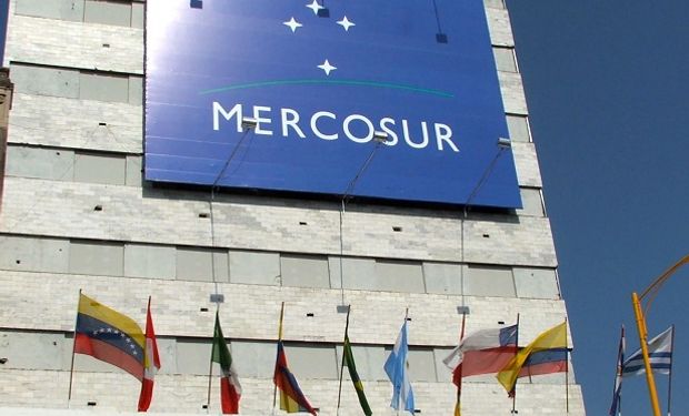 Acuerdo comercial con UE y pandemia: los principales ejes de la cumbre del Mercosur