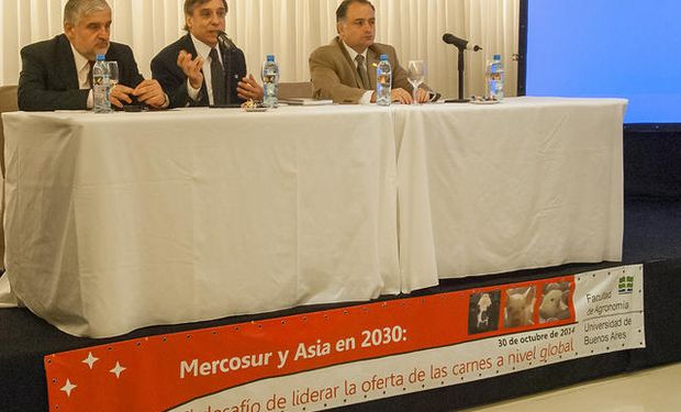 Expertos de la Argentina, Paraguay y Uruguay de las cadenas de carne bovina, porcina y aviar participaron del Seminario Mercosur y Asia en 2030