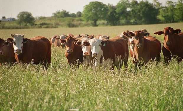 De qué oportunidades se habló en el reencuentro de la Mesa de las Carnes