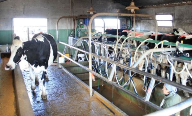 Aseguran que actualmente, el productor recibe entre $5,30 y $6,10 por litro de leche producido, mientras que el costo alcanza los $7.