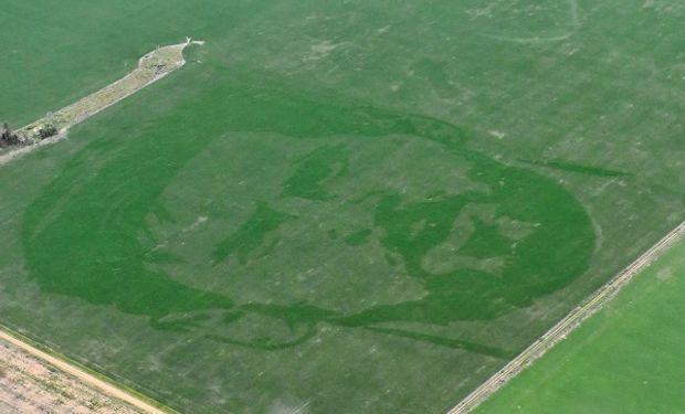 Desde el cielo lo podemos ver: así vive el ingeniero que plasmó a Messi en los campos argentinos 