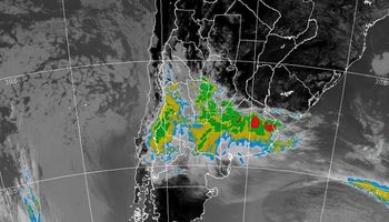 Día del Meteorólogo en Argentina: por qué se celebra cada 11 de julio