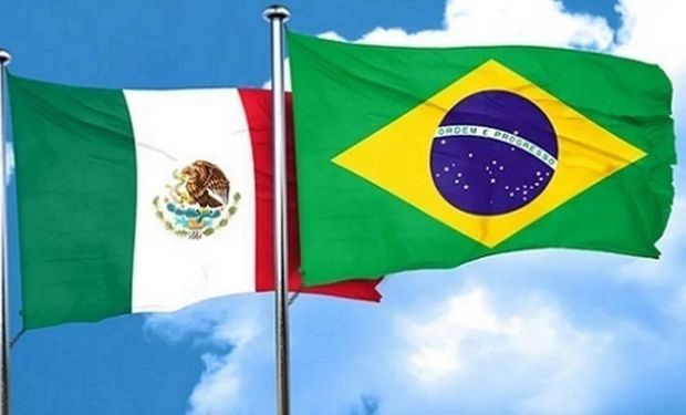 México deve seguir como maior destino latino para exportações agro do Brasil