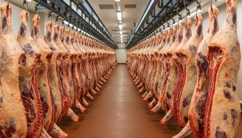 Brasil assina acordo agrícola com México e negocia habilitação de novos frigoríficos