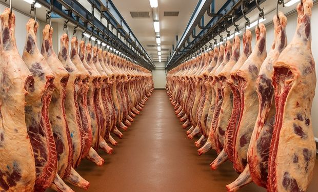 Brasil assina acordo agrícola com México e negocia habilitação de novos frigoríficos