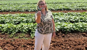 Reis do picles: conheça o ciclo completo desde o pepino até o hambúrguer