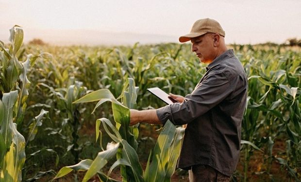 La inteligencia artificial en el agro alcanza un nivel de precisión que "asusta": en qué trabaja Microsoft