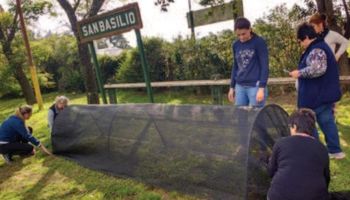 Para cuidar la huerta de las heladas y el sol: cómo hacer un microtúnel