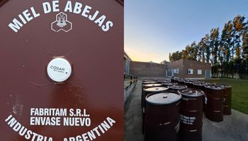 La miel de productores santafesinos ya llega a Alemania, Estados Unidos e Italia y reinvierten todo para seguir creciendo